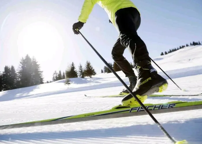 L'edelweiss, 2050m La Plagne, F2 De Gamme 公寓