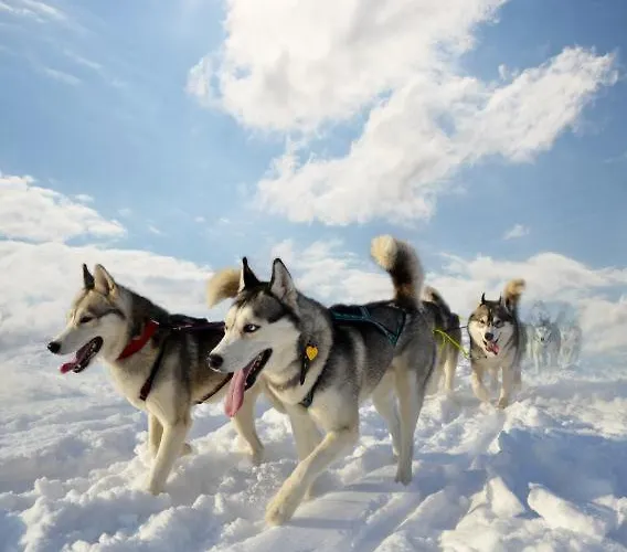L'edelweiss, 2050m La Plagne, F2 De Gamme Apartmán