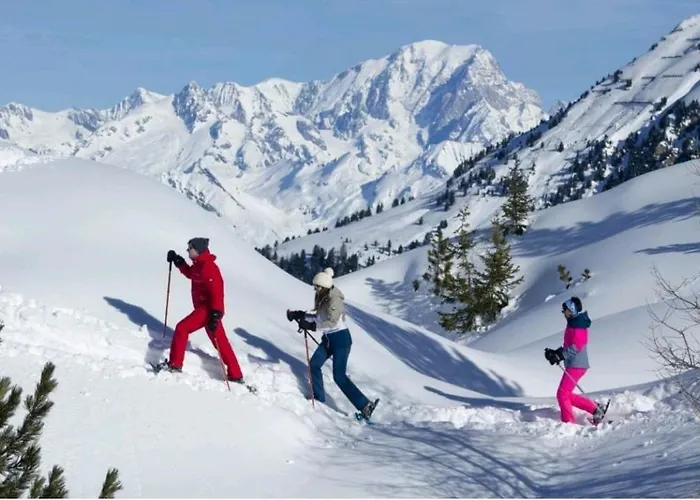 Apartmán L'edelweiss, 2050m La Plagne, F2 De Gamme *