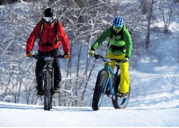 公寓 L'edelweiss, 2050m La Plagne, F2 De Gamme *