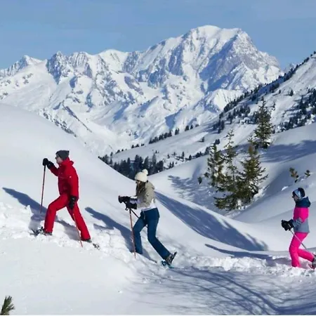 Apartamento L'edelweiss, 2050m La Plagne, F2 De Gamme *